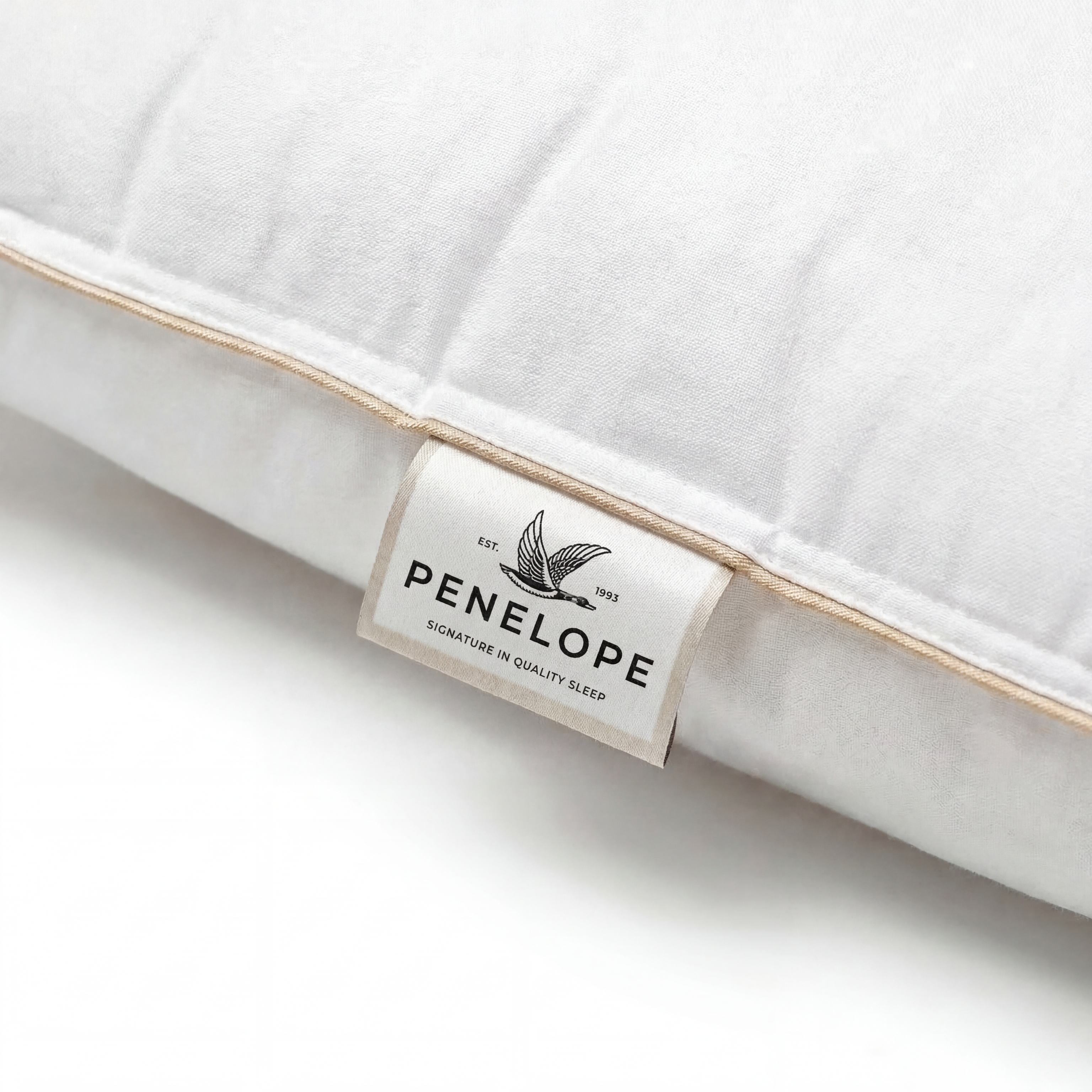 Penelope Dove Soft Pillow